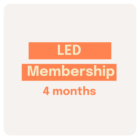 LED Fayshell Membership 4 months