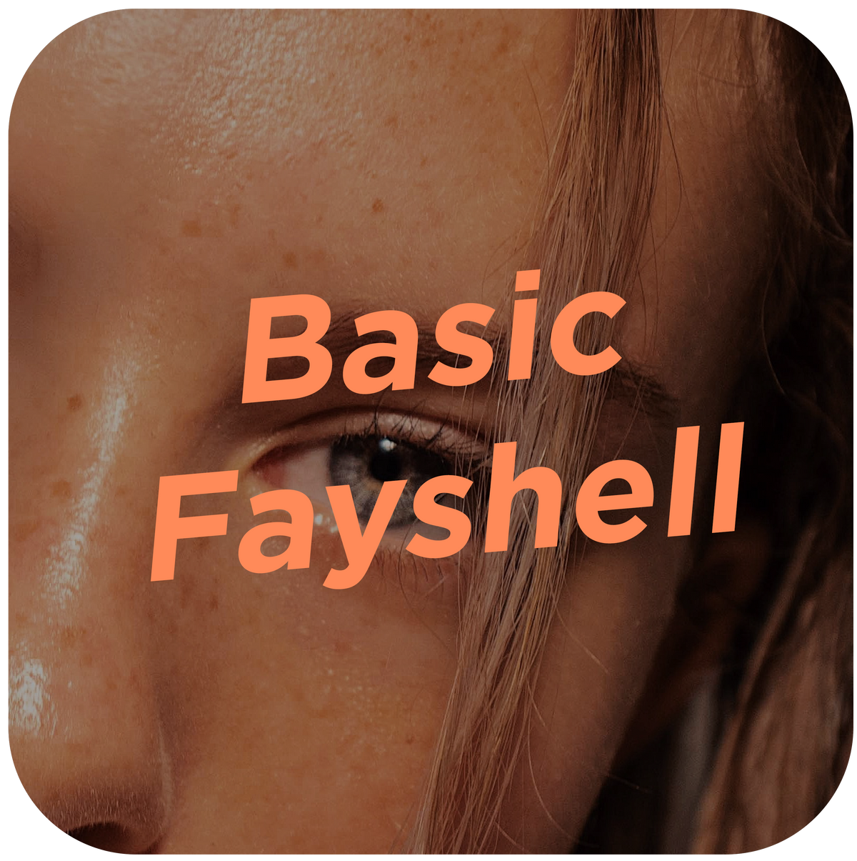 Basic Fayshell